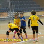 Minižáci házené z Milevska bojovali v Jindřichově Hradci