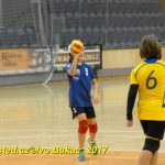 Minižáci házené z Milevska bojovali v Jindřichově Hradci