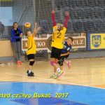 Minižáci házené z Milevska bojovali v Jindřichově Hradci