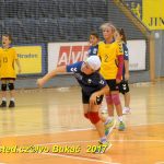Minižáci házené z Milevska bojovali v Jindřichově Hradci