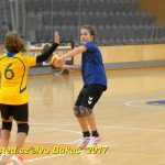 Minižáci házené z Milevska bojovali v Jindřichově Hradci