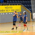 Minižáci házené z Milevska bojovali v Jindřichově Hradci