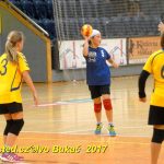 Minižáci házené z Milevska bojovali v Jindřichově Hradci