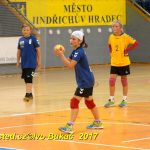 Minižáci házené z Milevska bojovali v Jindřichově Hradci