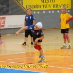 Minižáci házené z Milevska bojovali v Jindřichově Hradci