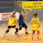 Minižáci házené z Milevska bojovali v Jindřichově Hradci