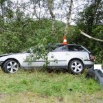 Octavii u Podeřiště zastavil strom