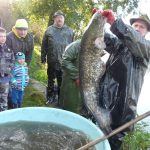 Šupináči opustili Blatský rybník, stěhují se do řeky