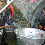 Šupináči opustili Blatský rybník, stěhují se do řeky