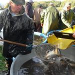 Šupináči opustili Blatský rybník, stěhují se do řeky