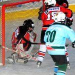 Mladší žáci HC Milevsko 2010 na domácím ledě roznesli Strakonice