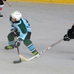 Mladší žáci HC Milevsko 2010 na domácím ledě roznesli Strakonice