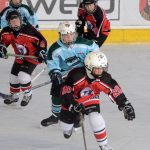 Mladší žáci HC Milevsko 2010 na domácím ledě roznesli Strakonice