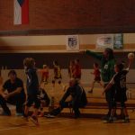 Jihočeským házenkářským nadějím patřila třeboňská hala