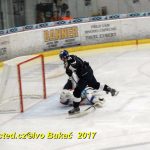 Hokej 2. liga: Prodloužení přineslo v Táboře prohru s Nymburkem