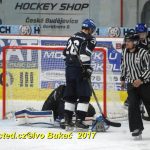Hokej 2. liga: Prodloužení přineslo v Táboře prohru s Nymburkem