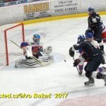 Hokej 2. liga: Prodloužení přineslo v Táboře prohru s Nymburkem