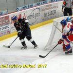 Hokej 2. liga: Prodloužení přineslo v Táboře prohru s Nymburkem