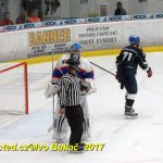 Hokej 2. liga: Prodloužení přineslo v Táboře prohru s Nymburkem