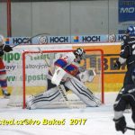 Hokej 2. liga: Prodloužení přineslo v Táboře prohru s Nymburkem