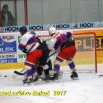 Hokej 2. liga: Prodloužení přineslo v Táboře prohru s Nymburkem