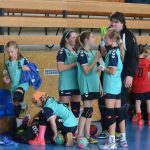 Mladší žákyně Milevska bojovaly statečně. Strakonicím nakonec těsně podlehly