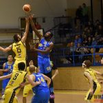 Senzace – Sršni pokřtili novou palubovku vyřazením Jindřichova Hradce
