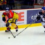 Tisková konference: Kouzlo Budvar arény trvá, Litoměřice ale nepříjemně kousaly