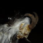 Krampusáci ve Strakonicích