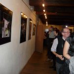 Sály na hradě zdobí Žena Women Strakonice 2017