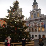 Na budějovickém náměstí se bruslí kolem kašny