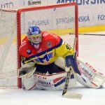Motor udolal Havířov nejtěsnějším výsledkem. Brankáři soupeře aplaudovala celá hala