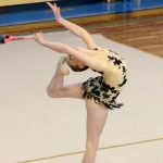 Moderní gymnastky v Bernarticích uspořádaly Vánoční besídku