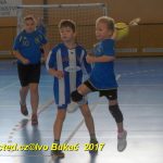Jihočeské házenkářské naděje se dnes utkaly v Milevsku