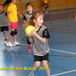 Jihočeské házenkářské naděje se dnes utkaly v Milevsku