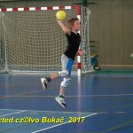 Jihočeské házenkářské naděje se dnes utkaly v Milevsku