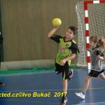 Jihočeské házenkářské naděje se dnes utkaly v Milevsku