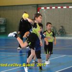 Jihočeské házenkářské naděje se dnes utkaly v Milevsku