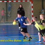 Jihočeské házenkářské naděje se dnes utkaly v Milevsku