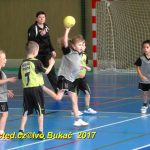 Jihočeské házenkářské naděje se dnes utkaly v Milevsku