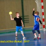 Jihočeské házenkářské naděje se dnes utkaly v Milevsku