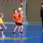 Jihočeské házenkářské naděje se dnes utkaly v Milevsku