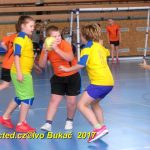 Jihočeské házenkářské naděje se dnes utkaly v Milevsku