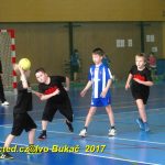Jihočeské házenkářské naděje se dnes utkaly v Milevsku