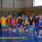 Jihočeské házenkářské naděje se dnes utkaly v Milevsku