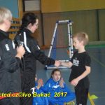 Jihočeské házenkářské naděje se dnes utkaly v Milevsku