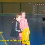 Jihočeské házenkářské naděje se dnes utkaly v Milevsku