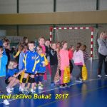 Jihočeské házenkářské naděje se dnes utkaly v Milevsku