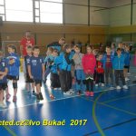 Jihočeské házenkářské naděje se dnes utkaly v Milevsku