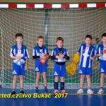 Jihočeské házenkářské naděje se dnes utkaly v Milevsku